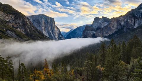 Vườn quốc gia Yosemite, California. Ảnh: David Kingham