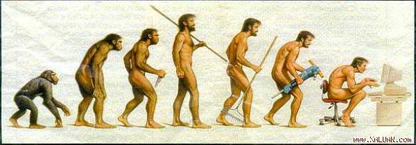 Nguồn gốc loài người có thực sự là từ vượn?