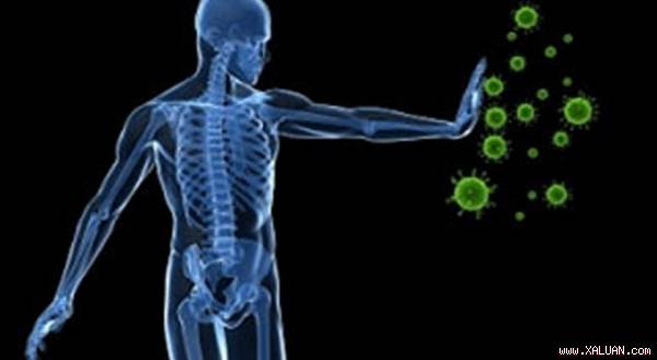 Phát hiện bí mật của miễn dịch qua da