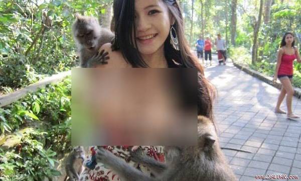 Khỉ ‘thành tinh’ xé váy phụ nữ giữa ban ngày ở Đà Nẵng