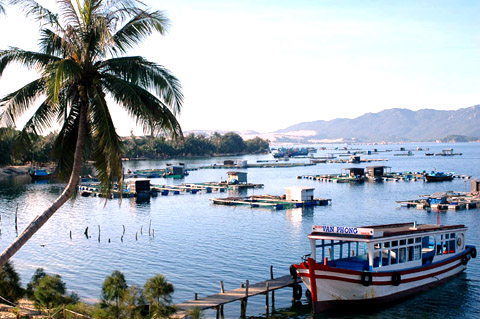 Xóm chài trong vịnh Vân Phong