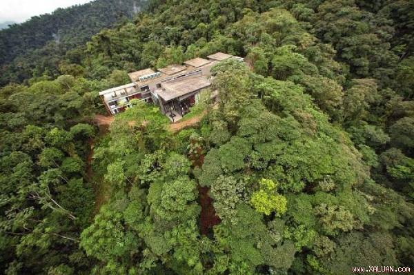 Khu rừng nhiệt đới xanh tươi ở Mashpi Lodge.