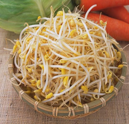 Lợi và hại của giá đỗ không phải ai cũng biết