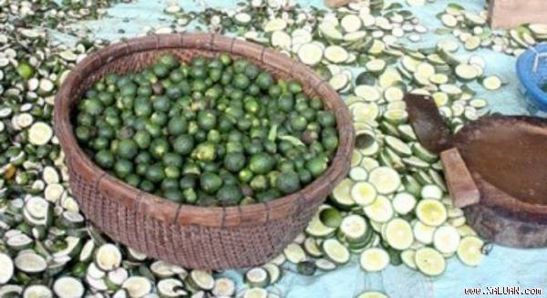 Thu gom nông sản lạ thường: Chiêu trò gì của thương lái?