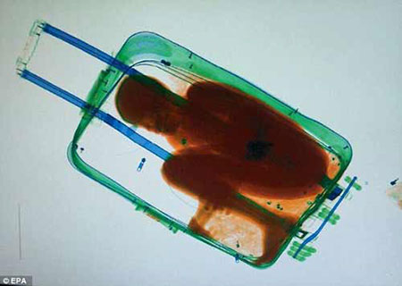  Hình ảnh từ máy quét cho thấy cậu bé 8 tuổi nằm gọn gàng trong chiếc vali.