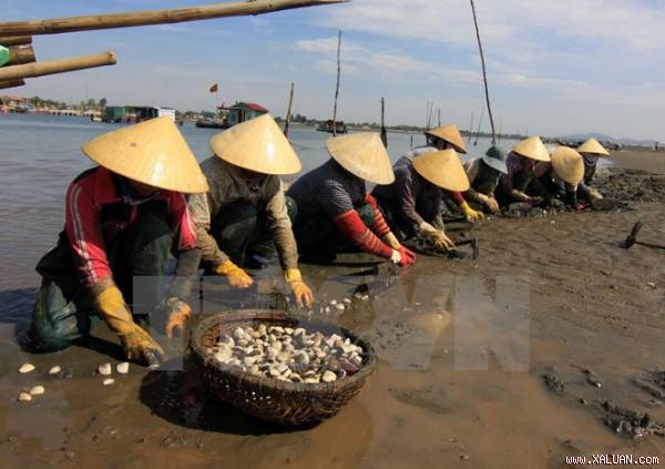 Xứ Thanh đẩy mạnh phát triển du lịch thông qua văn hóa biển