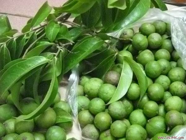 Quả sấu còn là dược liệu rất tốt trong chữa bệnh.