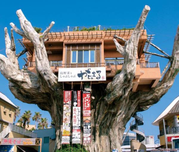 Nhà hàng trên cây Shimayasai to Shabu Shabu được nhiều người yêu thích. Ảnh: Mydesighnweek.
