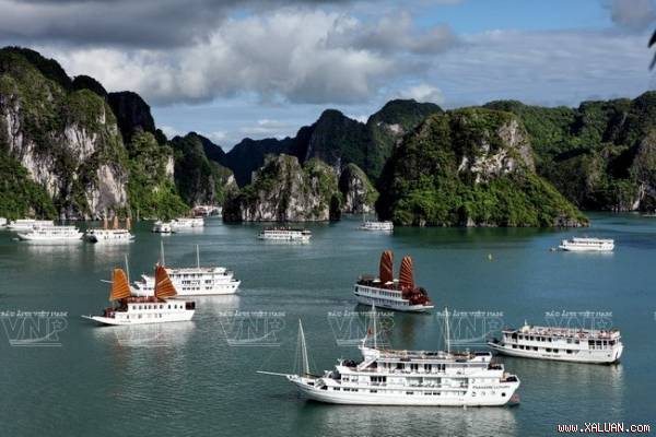 Những du thuyền sang trọng nổi bật giữa màu xanh như ngọc của mặt nước Vịnh Hạ Long.