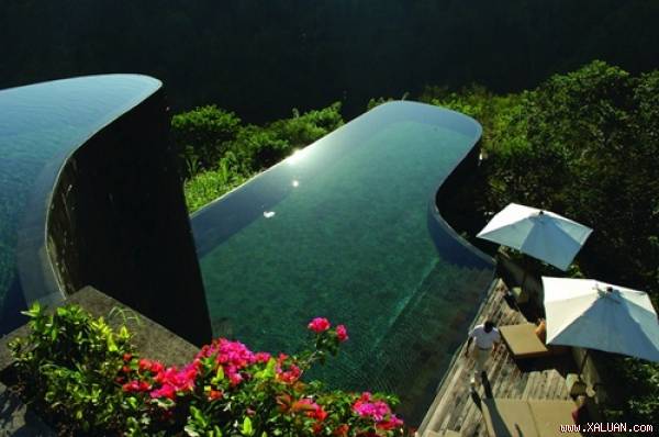 Bể bơi thuộc vườn treo Ubud nhìn thẳng ra cánh rừng nhiệt đới