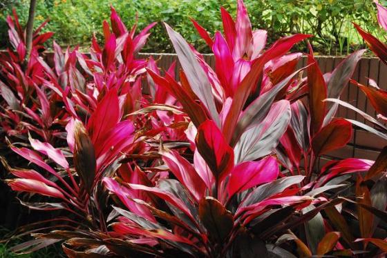 [Image: 22-1407724554082.jpg]