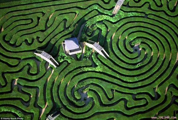 Mê cung Longleat xanh mướt ở Wiltshire, Anh.