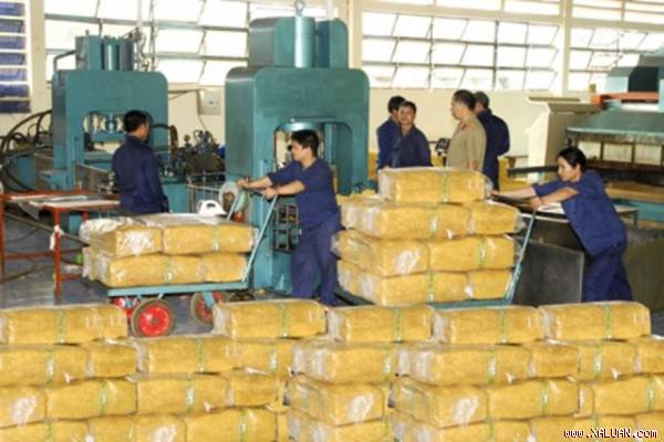Tuần 21/9 - 25/9: Giá cao su thế giới giảm mạnh