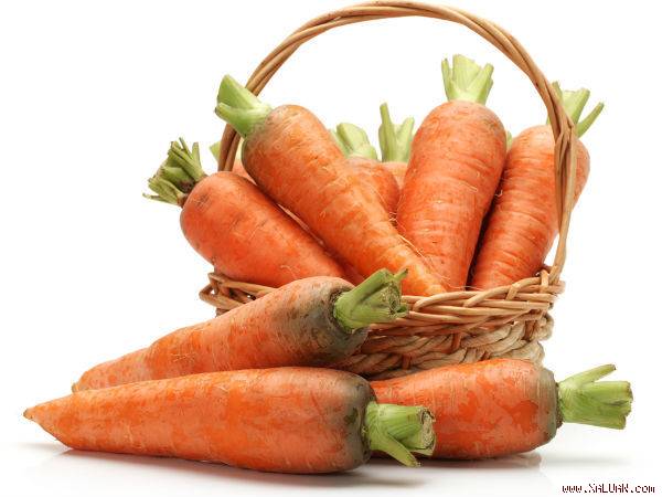 Theo Boldsky, cà rốt chứa nhiều beta carotene giúp giảm thiểu các bệnh ung thư phổi, dạ dày, họng, ruột và thậm chí cả ung thư vú.