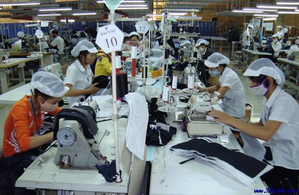 Chi tiết cơ chế miễn giảm thuế một số mặt hàng và mở cửa thị trường theo TPP