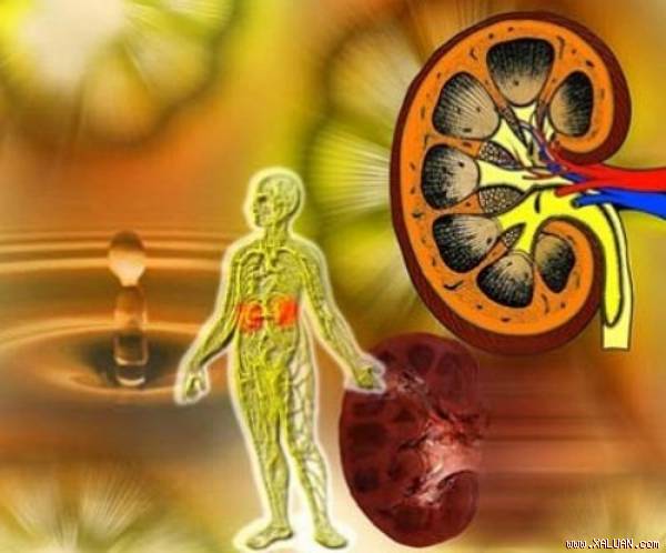 Những hành động phá nát thận rất nhiều người đang làm