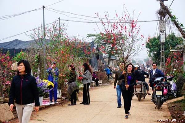 Đề xuất nghỉ Tết Nguyên đán Bính Thân 9 ngày