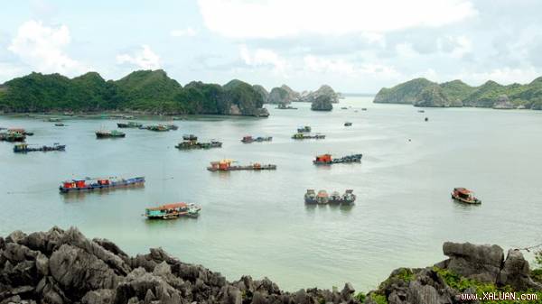 Quang cảnh vịnh Lan Hạ, Cát Bà.