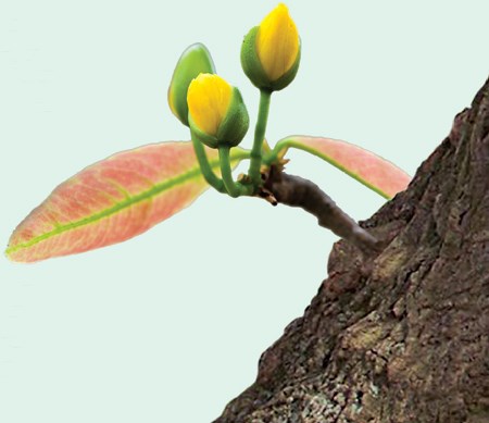 Khi quý bà... bỗng trỗi dậy, bừng bừng