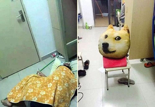 [Image: 1446717762-1446713220-8.jpg]