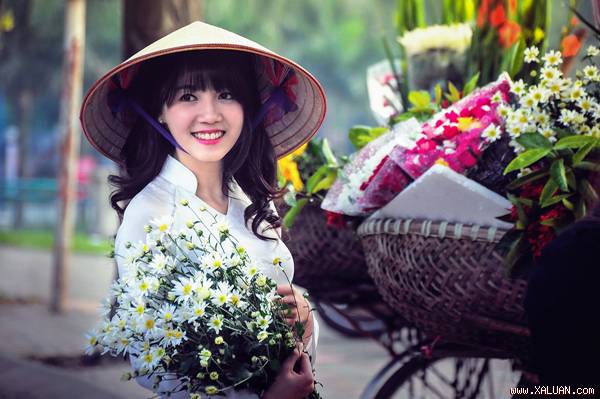 Cúc họa mi mang đến vẻ đẹp bình yên, tươi mới cho phố phường Hà Nội