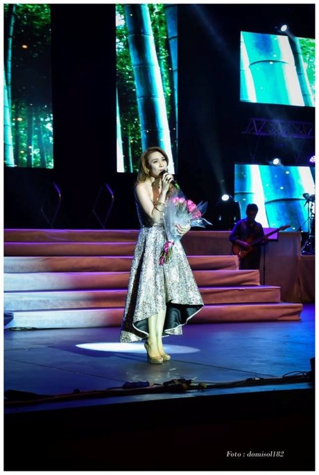 Hình ảnh Mỹ Tâm trong tour diễn Giai điệu yêu thương 11 hồi tháng 9/2015.