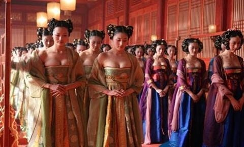  Những cung nữ trẻ trung, có nhan sắc trong triều sẽ được lựa chọn để dạy Hoàng đế những việc sẽ phải làm trong đêm động phòng.