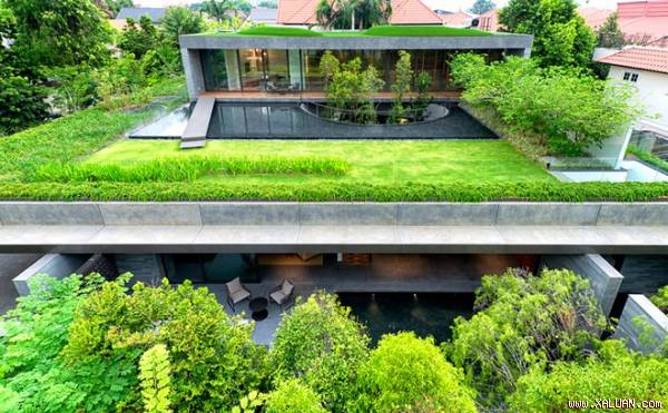 Công trình ở Singapore do Farm Architects thiết kế có nhiều điểm đặc biệt. Từ trên cao nhìn xuống, các khối bê tông, gạch đá gần như biến mất bởi mái nhà được phủ cây xanh, mặt nước.