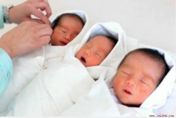 Vợ đẻ sinh ba nhưng chỉ một đứa là con của chồng.