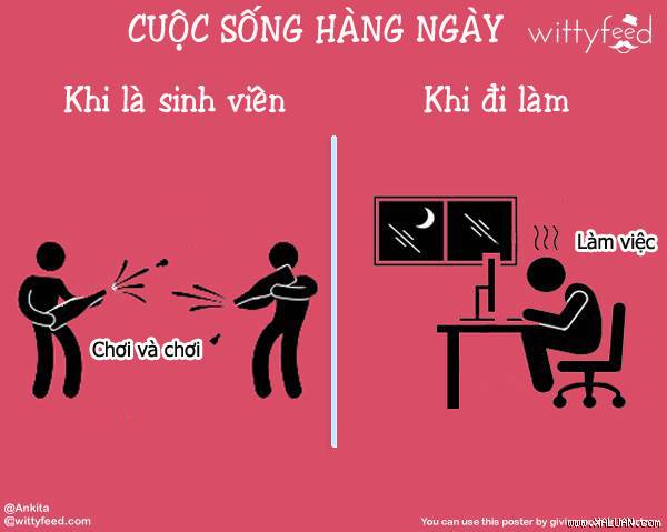 Nhan vien moi bat ngo vi di lam khac xa so voi thoi di hoc
Di kiem tien thi co dieu gi khac so voi thoi gian van di hoc?