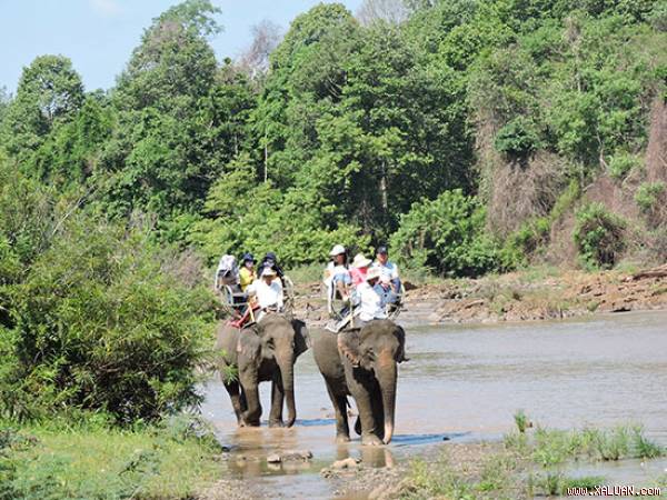 Cưỡi voi - một trải nghiệm thú vị khi đến thăm Bản Đôn.