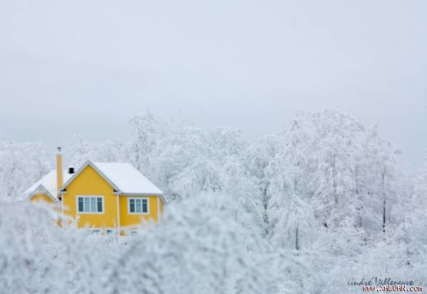 Những ngôi nhà lãng mạn nhưng không phải ai cũng thích ở