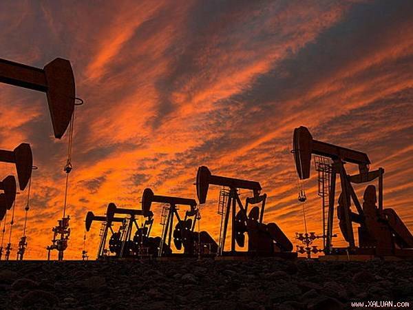 Giá dầu phục hồi mạnh trước thông tin OPEC cắt giảm sản lượng