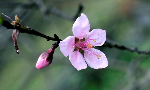 Điều trị tàn nhang được rất nhiều người áp dụng