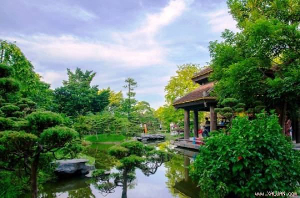 “Thế giới cây cỏ” của nhà báo, Đại tá quân đội Sử Trường Sơn nằm trong ngõ nhỏ đường An Dương (quận Tây Hồ, TP Hà Nội)