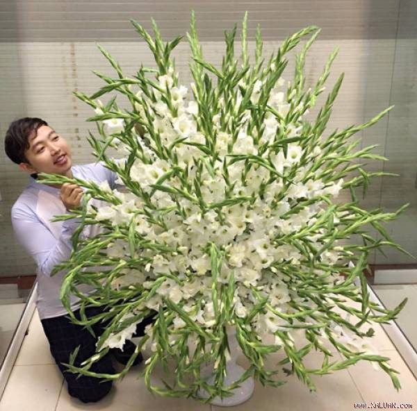 Anh Duy không ngừng tìm tòi để sáng tạo các bình hoa đẹp. Ảnh: FH.