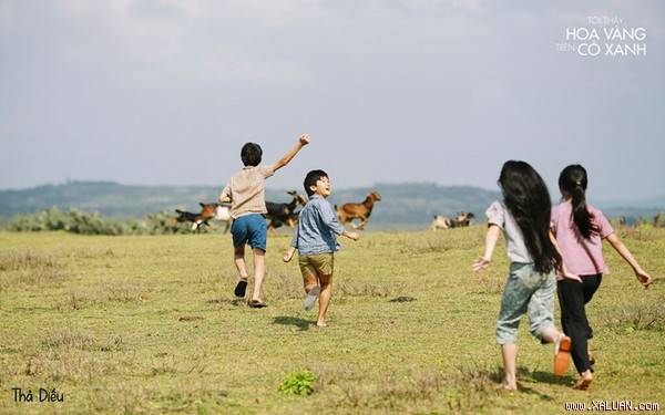 Cảnh thả diều trong phim được quay ở Gành Ông, Bãi Xép.