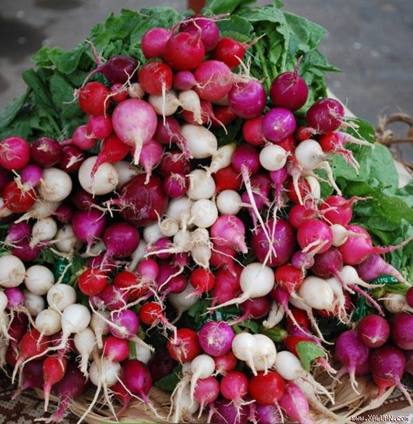 Bạn vừa có thể dùng củ và dùng lá của cây để chế biến các món ăn. Khi trồng loại rau này, bạn chú ý cung cấp đủ ánh sáng mặt trời cho chúng.