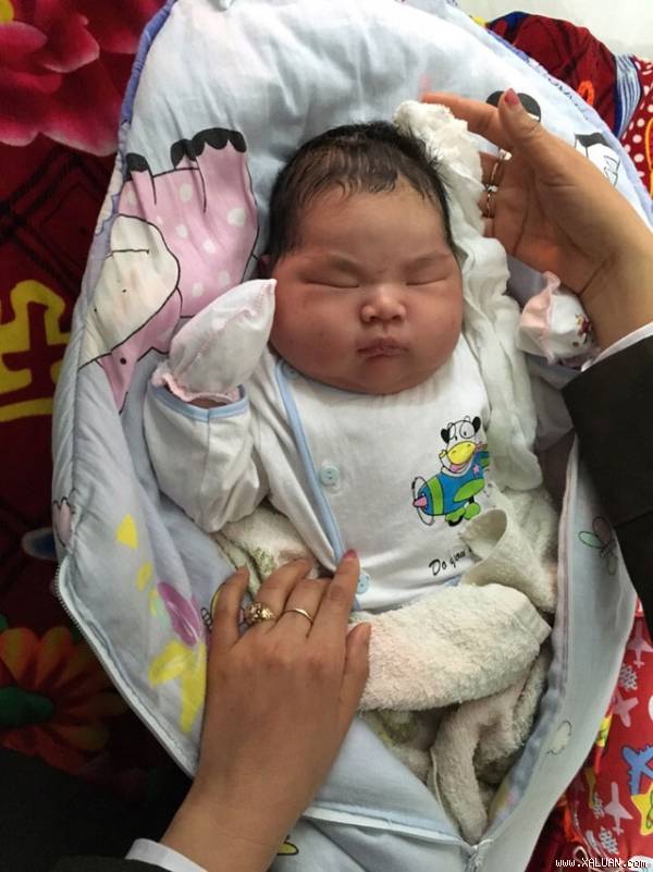 “Thiên thần“ nặng 6,1kg chào đời lúc 9h30 sáng ngày 25.2 tại Nam Định.