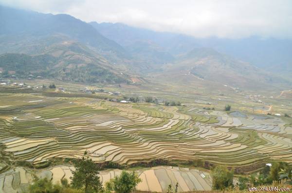 Có một Mù Cang Chải mùa nước đổ đẹp như tranh vẽ