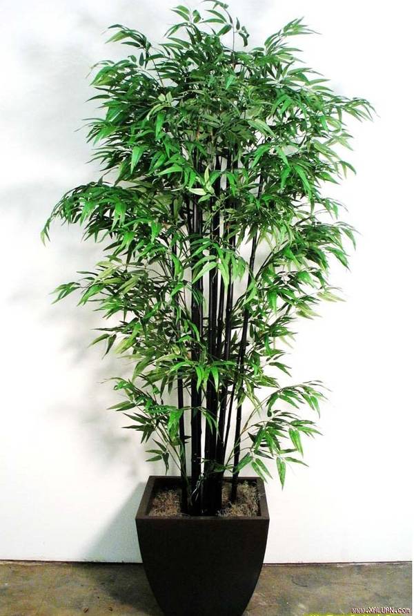 6 quan niệm phong thủy hoàn toàn sai nhưng ai cũng nghĩ là đúng