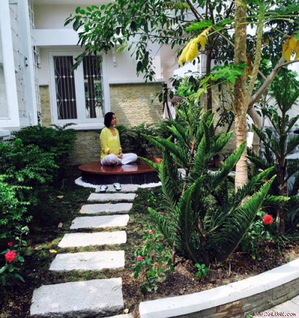 Mùa quả bội thu trong vườn nhà Việt Trinh