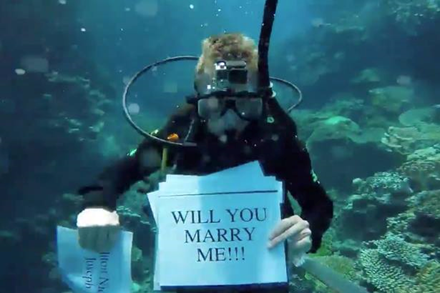 Phát sốt với chàng trai lặn xuống biển để cầu hôn