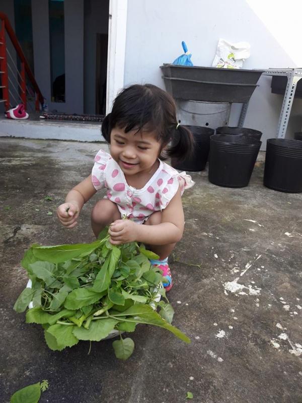 Vườn rau sân thượng của ông bố trẻ Đà Nẵng cho "vợ ngắm, con xơi" hình ảnh 10