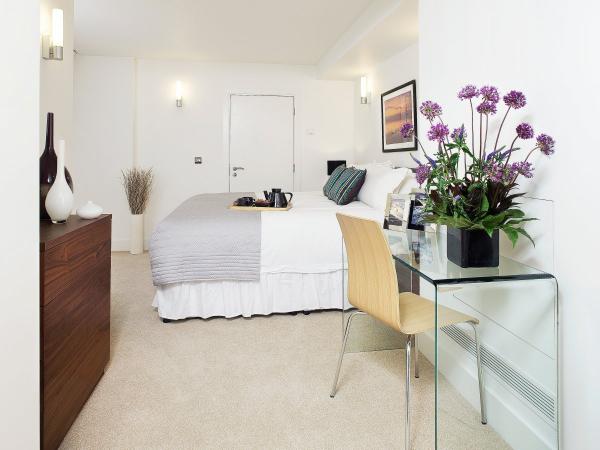 Ngắm nhà siêu sang của du học sinh châu Á tại London hình ảnh 4