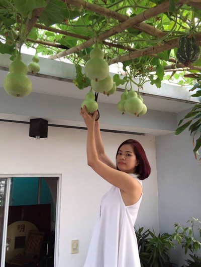 Bà mẹ 2 con nhỏ chăm giàn bầu ăn không xuể ở Sài Gòn