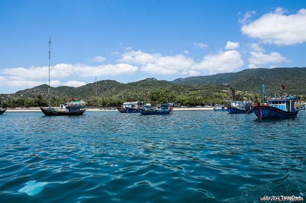 Thế giới san hô kỳ ảo dưới đáy vịnh Vĩnh Hy
