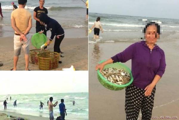 Người dân nhận ra bà Xuân một người tham gia thu mua cá ở bãi Đá Nhảy ngày 24/4