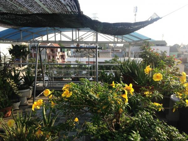 Vườn rau sân thượng ăn ’không cần rửa’ của ông chủ doanh nghiệp