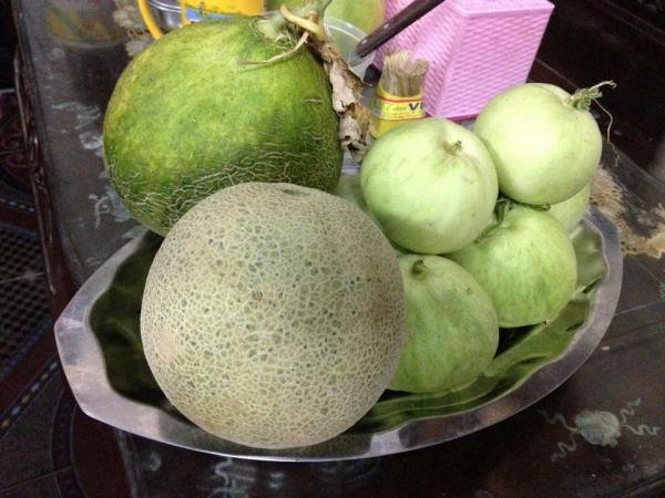 trồng dưa trên sân thượng, vườn dưa sân thượng, trồng dưa hấu, chàng trai 9X, dưa sạch, Hà Nội